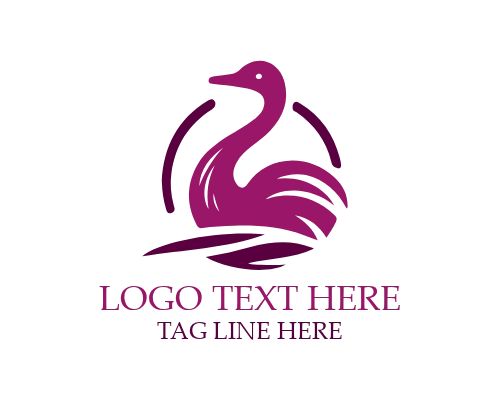 Sport Emblem Ostrich Logo