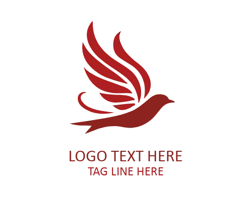 Star Trail Flying Bird Logo