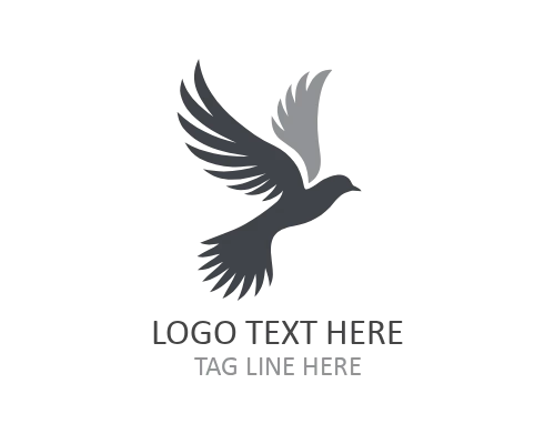  Streamline Flying Bird Logo