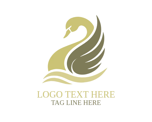  Swan Feather Logo