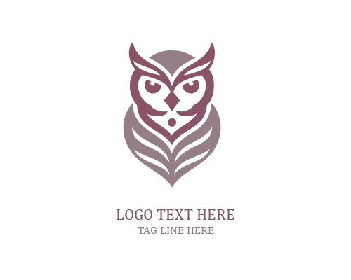 Tech Knowledge Owl Logo