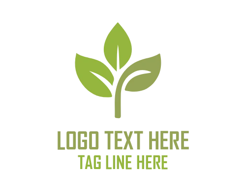 Tropical Leaf Brand Logo
