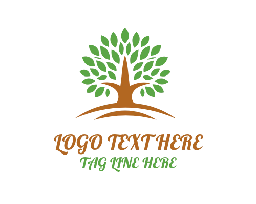 Tropical Palm Tree Logo