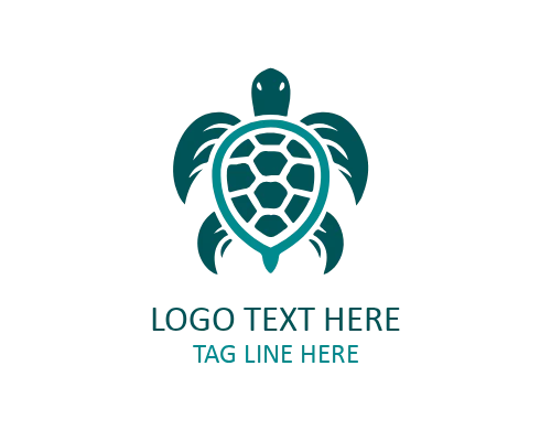Turtle Animal Logo Design