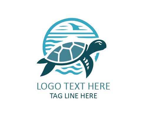 Turtle Outline Minimal Logo