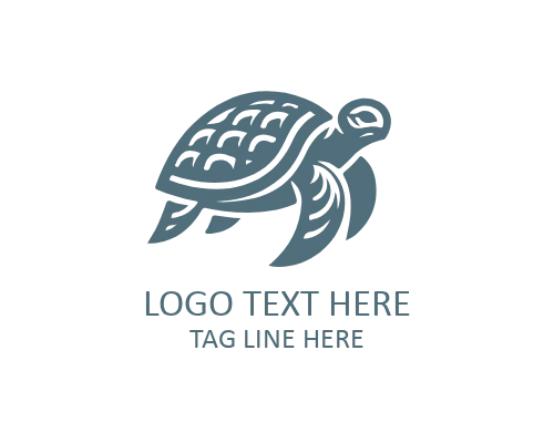  Turtle Sea Life Logo