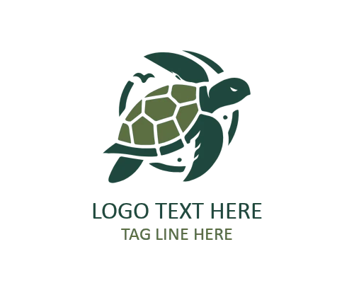  Turtle Shell Mandala Logo
