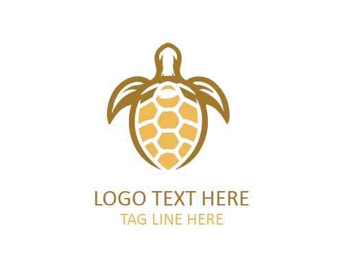 Turtle Shell Modern Logo