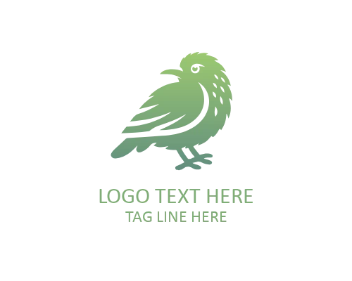  Vintage Engraved Kiwi Bird Logo
