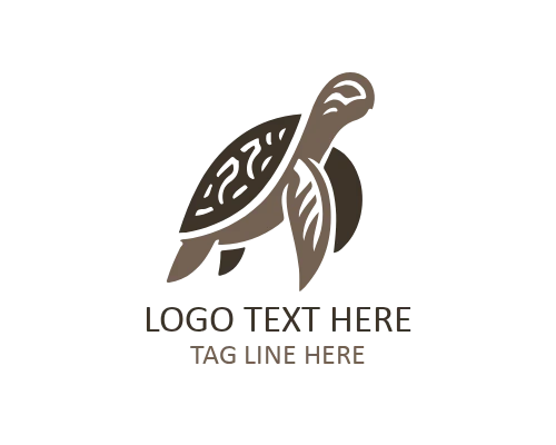 Vintage Turtle Emblem Logo