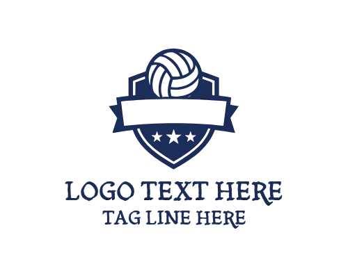 Volleyball Flare Logo