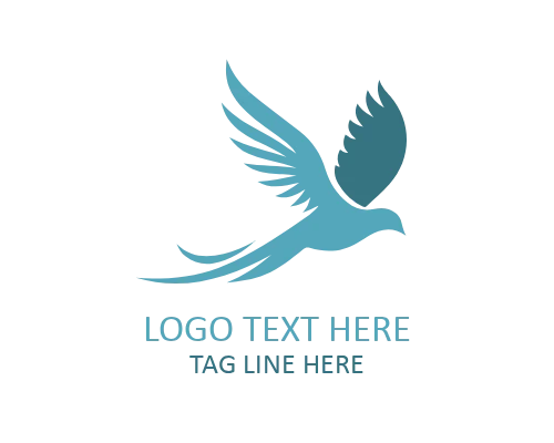 Wing Motion Flying Bird Logo