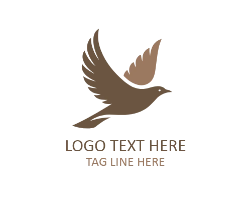 Wings bird logo 
