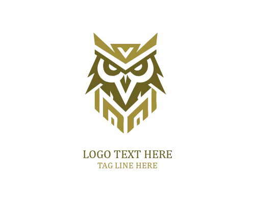 Wise Eyes Owl Logo