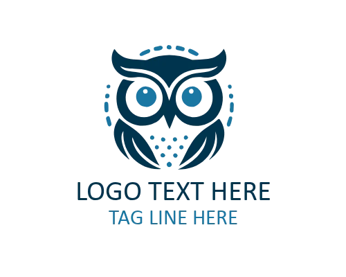 Wise Owl Navigating Stars Logo