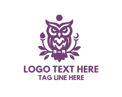 Wise Owl Observing Stars Through Telescope Logo