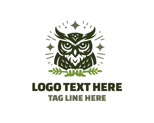 Wise Owl Observing Stars Through Telescope Logo