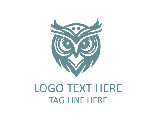 Wise Owl on Compass Guidance Logo