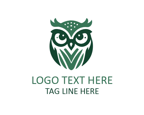 Wise Owl on Moon with Scroll Logo