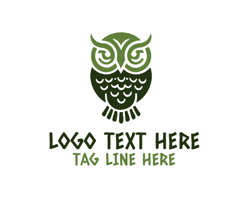 Wise Owl Teaching from Podium Logo