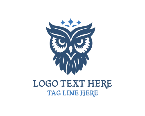  Wise Owl with Glasses Learning Logo