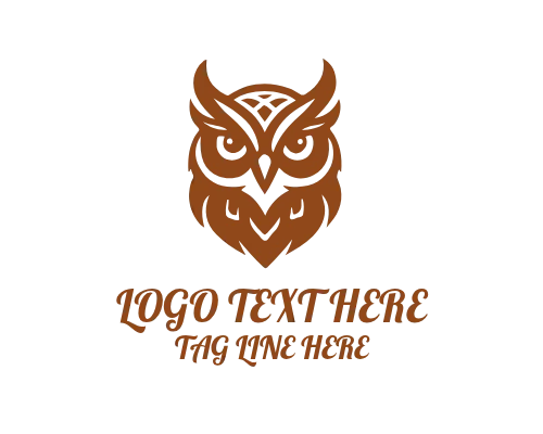 Wise Owl with Globe Learning Logo