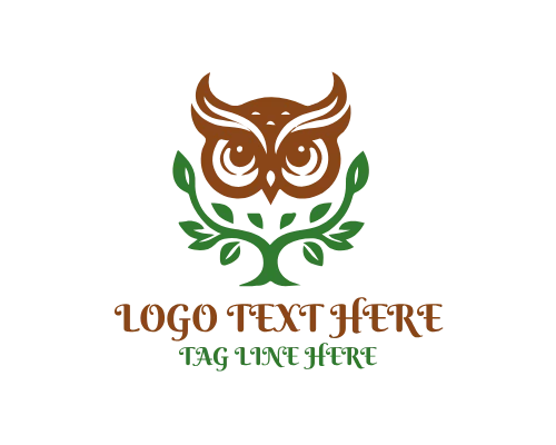 Wise Owl with Lantern Night Guidance Logo