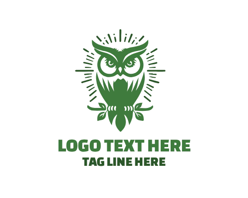Wise Owl with Scroll Knowledge Logo
