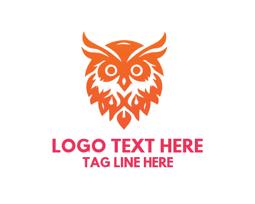 Wise Owl Writing on Scroll Logo